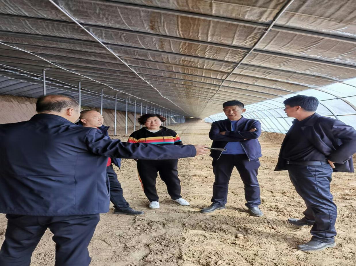 与村民商讨种植计划.jpg